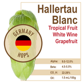 Hallertau Blanc (GR) Hops